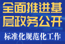 基层政务公开标准化规范化